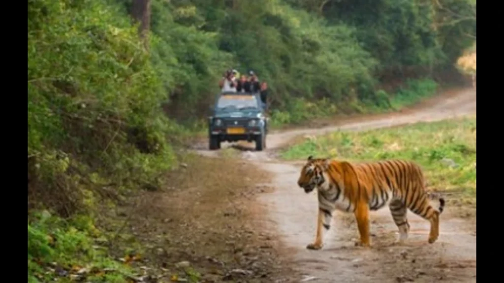 Famous National Park in India